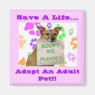 Adopteer me, red een leven..., adopteer een volwas magneet
