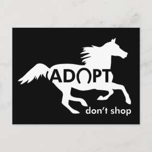 Adopteer Niet Winkelen Paard Wit Briefkaart