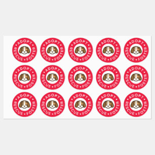 Adopteer, redding, pleegster   Schattigee hondenba Labels