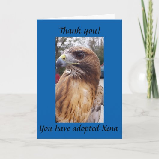 Adopteer Xena de Red-Tailed Hawk Bedankkaart (Voorkant)