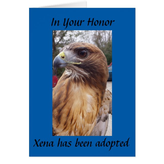 Adopteer Xena de Red-Tailed Hawk - Ter ere van jou (Voorkant)