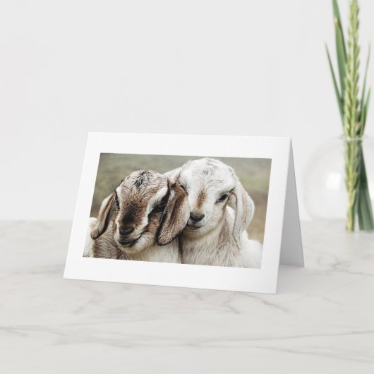 adoptie, adoptie, adoptie, fotografie, kaart (Voorkant)