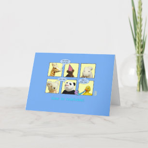 Adoptie Baby Boy Animals in Windows Kaart