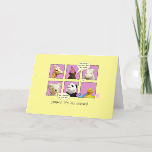 Adoptie Baby Girl Animals in Windows Kaart