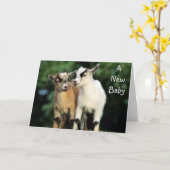 ADOPTIE - GEEN GRAPJE GEFELICITEERD! KAART (Gele Bloem)