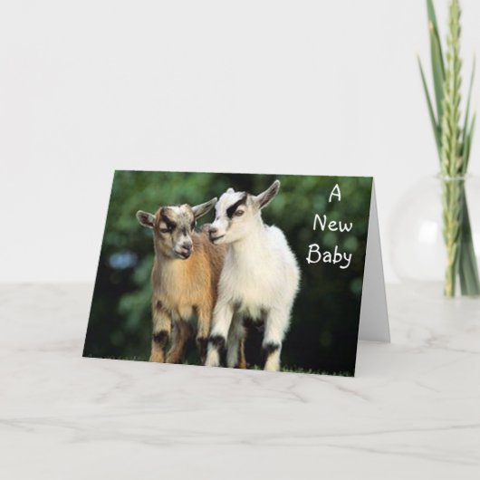 ADOPTIE - GEEN GRAPJE GEFELICITEERD! KAART (Voorkant)