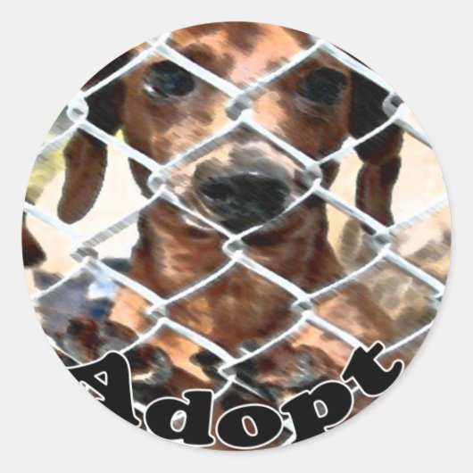 Adoptie Sticker (Voorkant)