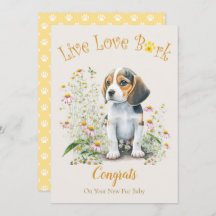 Adoptie van Beagle Dog, Gotcha Day