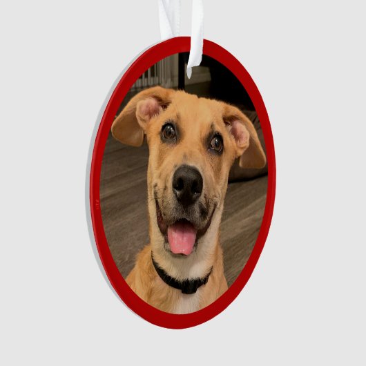 adoptie van gezelschapsdieren | Aangepaste foto Ornament (voorkant)