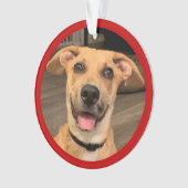 adoptie van gezelschapsdieren | Aangepaste foto Ornament (voorkant)