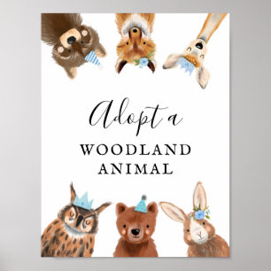 Adoptiecentrum   Jongen Woodland Birthday Party Si Poster