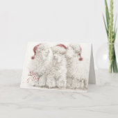 Adorable Angora Goat Christmas Trio  Kaart (Voorkant)