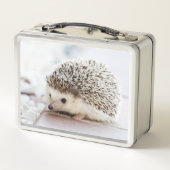 Adorable baby egel foto (Achterkant)