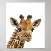 Adorable Baby Giraffe Nursery Jungle Safari Poster (Voorkant)