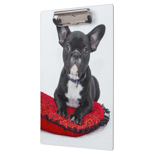 Adorable Black and White Bulldog Puppy Photo Klembord (Links)