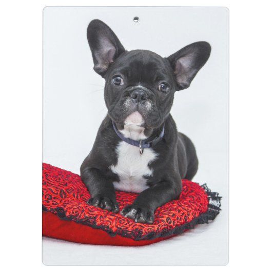 Adorable Black and White Bulldog Puppy Photo Klembord (Achterkant)