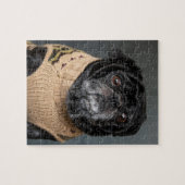 Adorable black pug in a sweater legpuzzel (Horizontaal)