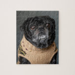 Adorable black pug in a sweater legpuzzel<br><div class="desc">Adorable black pug dog in a sweater</div>