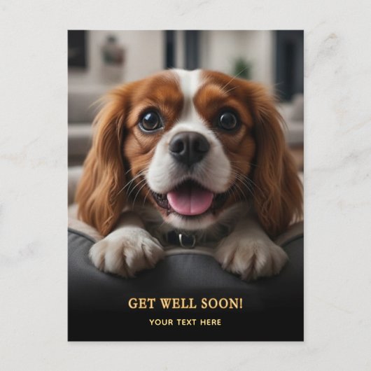 Adorable Cavalier King Charles Spaniel Get Well  Briefkaart (Voorkant)