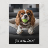 Adorable Cavalier King Charles Spaniel Get Well  Briefkaart (Voorkant)