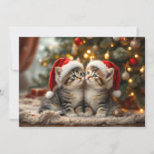 Adorable Christmas kitten with Santa hats Feestdagenkaart (Voorkant)