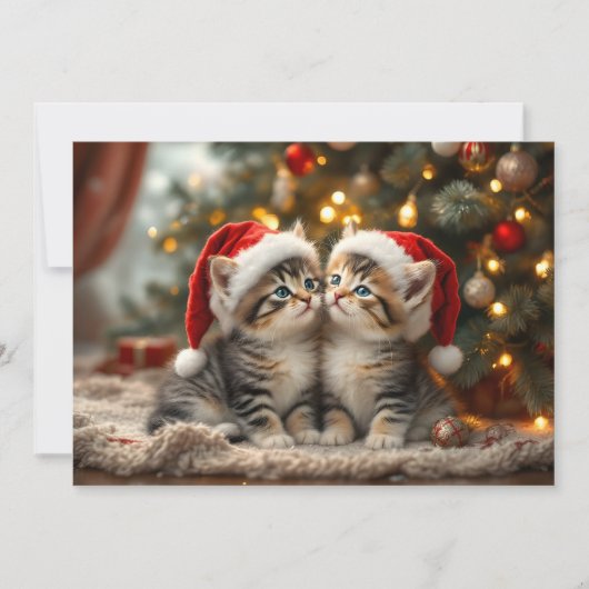 Adorable Christmas kitten with Santa hats  Feestdagenkaart (Voorkant)