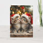 Adorable Christmas kitten with Santa hats  Kaart (Achterkant)