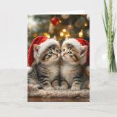 Adorable Christmas kitten with Santa hats  Kaart (Voorkant)