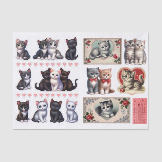 Adorable Collection Cat & Kitten Ephemera Tissuepapier (Voorkant)