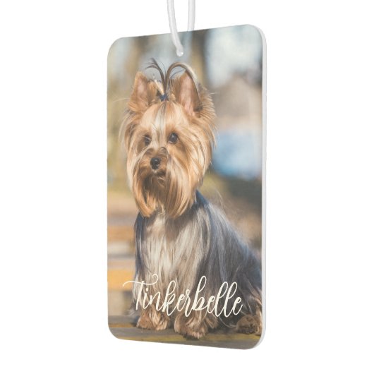 Adorable Custom Pet Photo with Script Name Luchtverfrisser (Links)