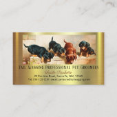 Adorable Cute Dachshund Pup Pet Grooming Chic Gold Visitekaartje (Voorkant)