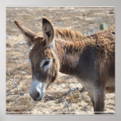 Adorable Donkey Poster (Voorkant)