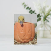 Adorable Duckling in a Pumpkin  Briefkaart (Staand voorkant)