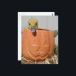 Adorable Duckling in a Pumpkin  Briefkaart<br><div class="desc">An adorable duckling in a jack-o-lantern mug photographed by Angelandspot around 2009-2011.  No ducklings were harmed in the making of this image.  She was only in there for just a moment so I could take a quick Halloween themed photo.</div>