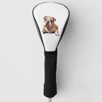 Adorable English Bulldog Puppy - Endearing Pet Por Golfheadcover