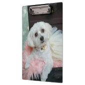 Adorable Fancy White Puppy Portrait Photo Klembord (Links)