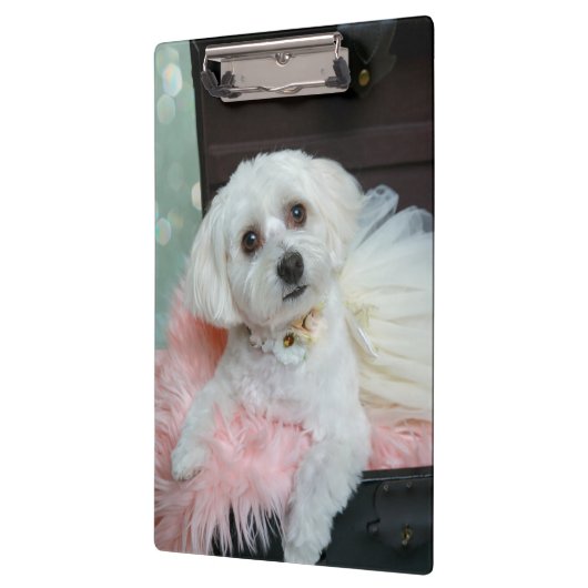 Adorable Fancy White Puppy Portrait Photo Klembord (Links)