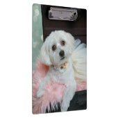 Adorable Fancy White Puppy Portrait Photo Klembord (Rechts)