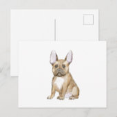 Adorable french bulldog puppy briefkaart (Voorkant / Achterkant)