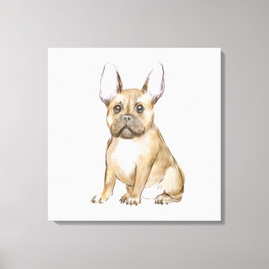 Adorable french bulldog puppy canvas afdruk (Voorkant)