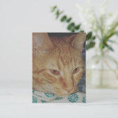 adorable ginger kitty in bed briefkaart (Staand voorkant)
