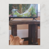 adorable ginger kitty watching TV Briefkaart (Voorkant)