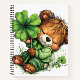 ADORABLE IRISH THEMED TEDDY BEAR NOTITIEBOEK