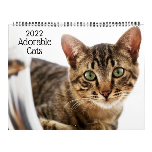 Adorable Katten 2022 Agenda Kalender (Hoes)