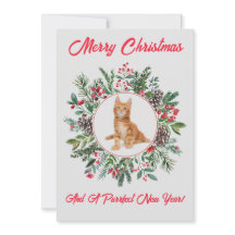 Adorable Kittens Plattegrond Kerstkaart