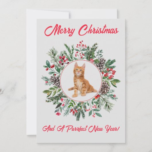 Adorable Kittens Plattegrond Kerstkaart (Voorkant)