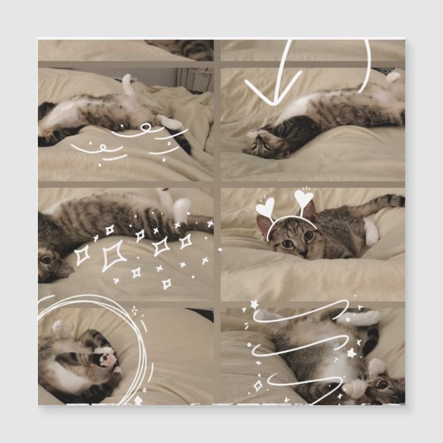 Adorable Kittensanskaart (Voorkant)