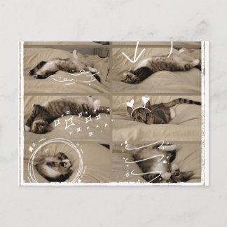 Adorable Kittensanskaart Feestdagenkaart