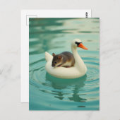 Adorable Mouse on a Swan Pool Float Briefkaart (Voorkant / Achterkant)