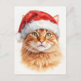 Adorable Orange Tabby Cat in Santa Hat Feestdagenkaart